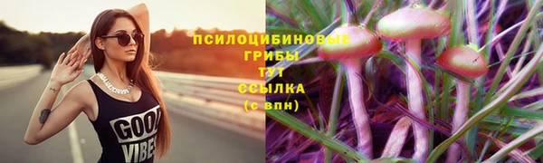 мескалин Алексин