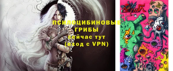 винт Армянск